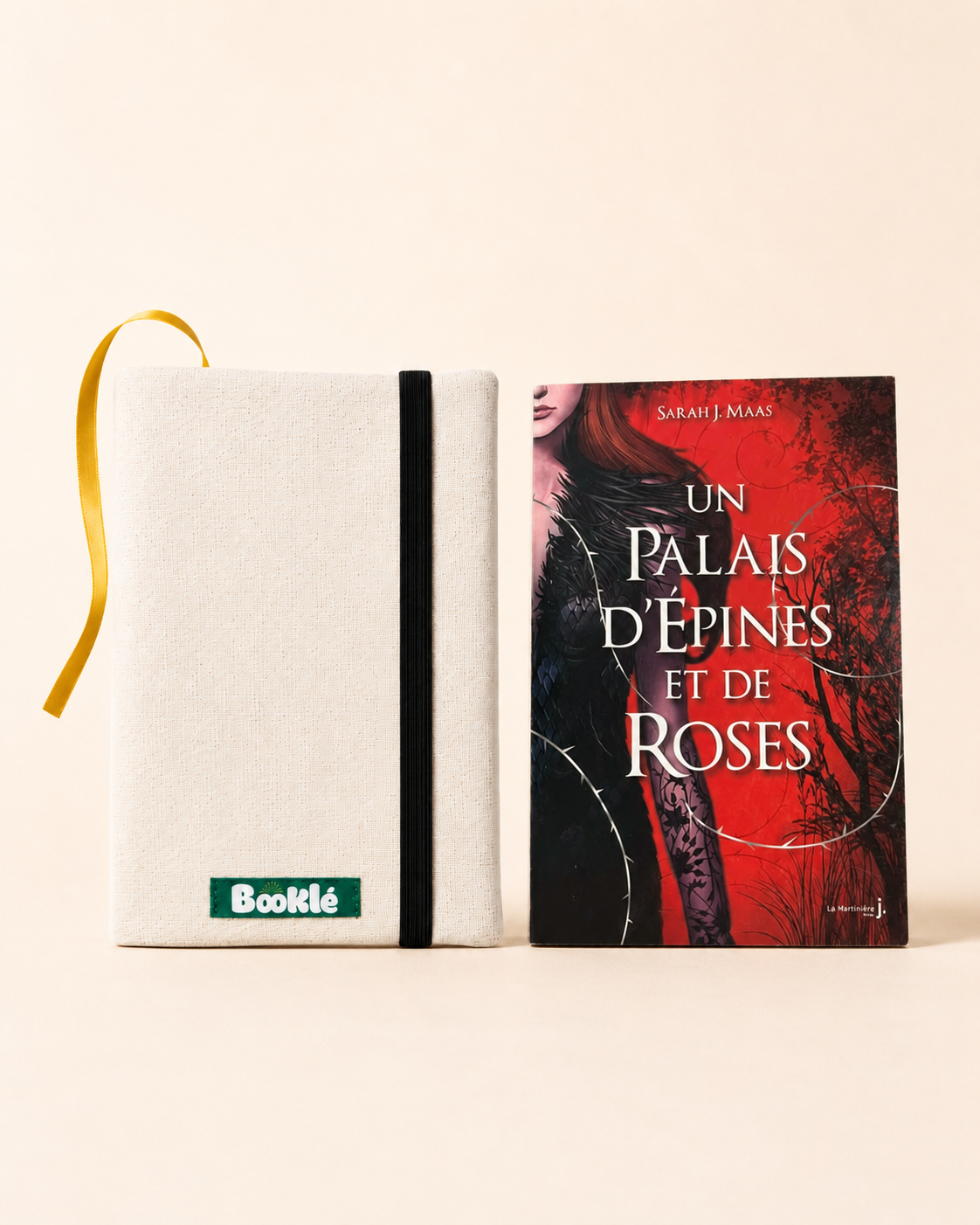 Rhysand et livre broché